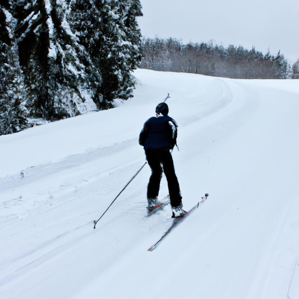 Person skiing in winter landscape